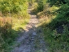 Trail zum Arber