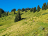 20240811_073727-scaled-e1723970974323