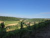 Blick von den Weinbergen ins Taubertal