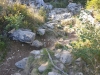 Trail ins Ziel