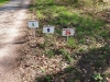 41.Rodgauer Osterlauf