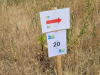 IMG-20220716-WA0008-e1658048886503