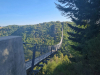 Hängeseilbrücke Geierlay