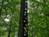 20230521_105236-scaled-e1685429614351
