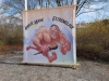 Harte Mann Banner
Quelle. A.Zipf